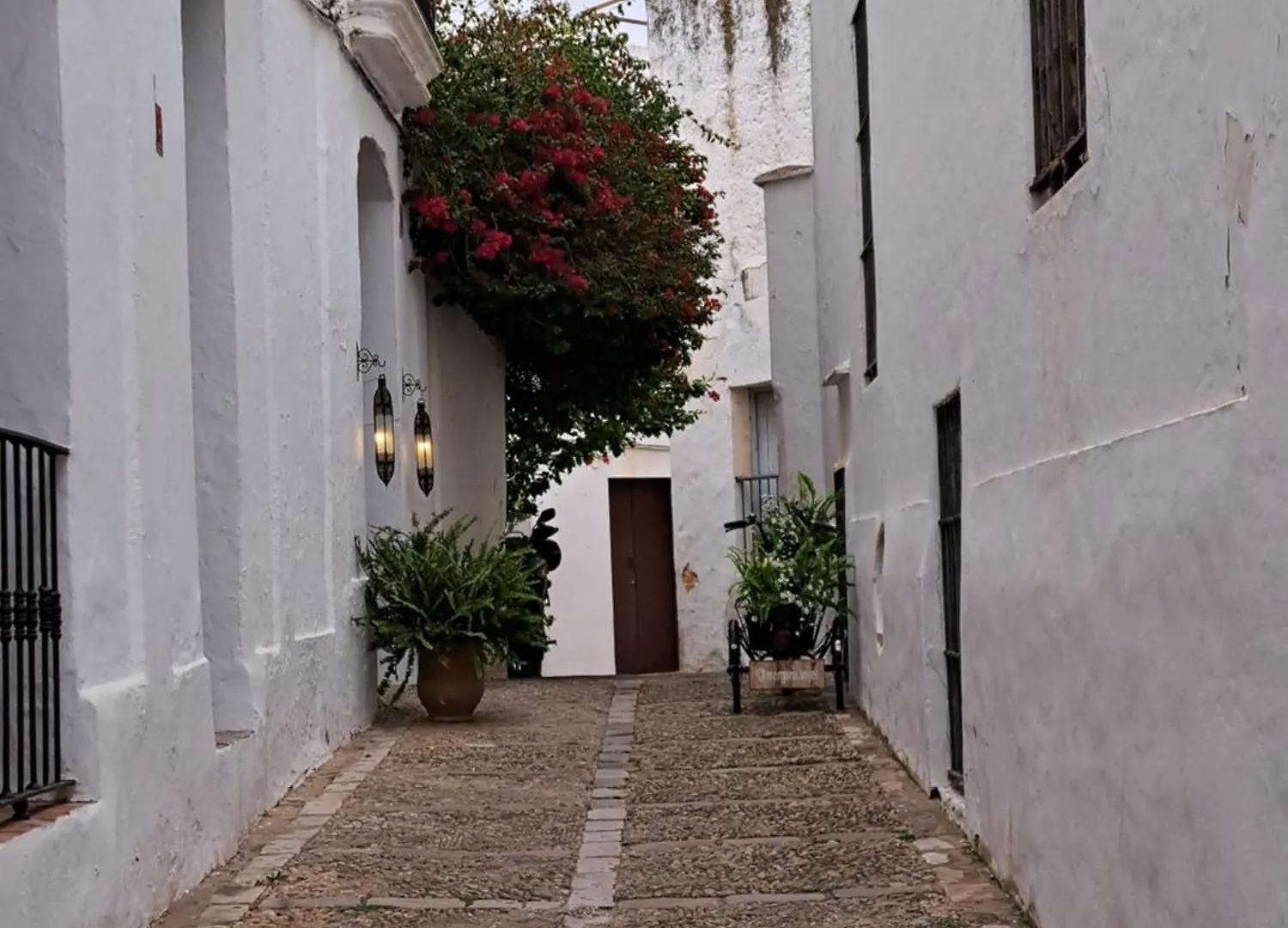 Mara Home Vejer De La Frontera Apartamento